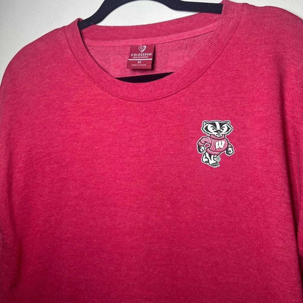 Wisconsin Badgers Women’s Medium M Long Sleeve Bucky Badger Logo - Picture 2 of 7